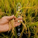 Ukiyo Japanese Rice Vodka 1x0,7l