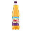 Punica Melon Tropic 6 x 1l